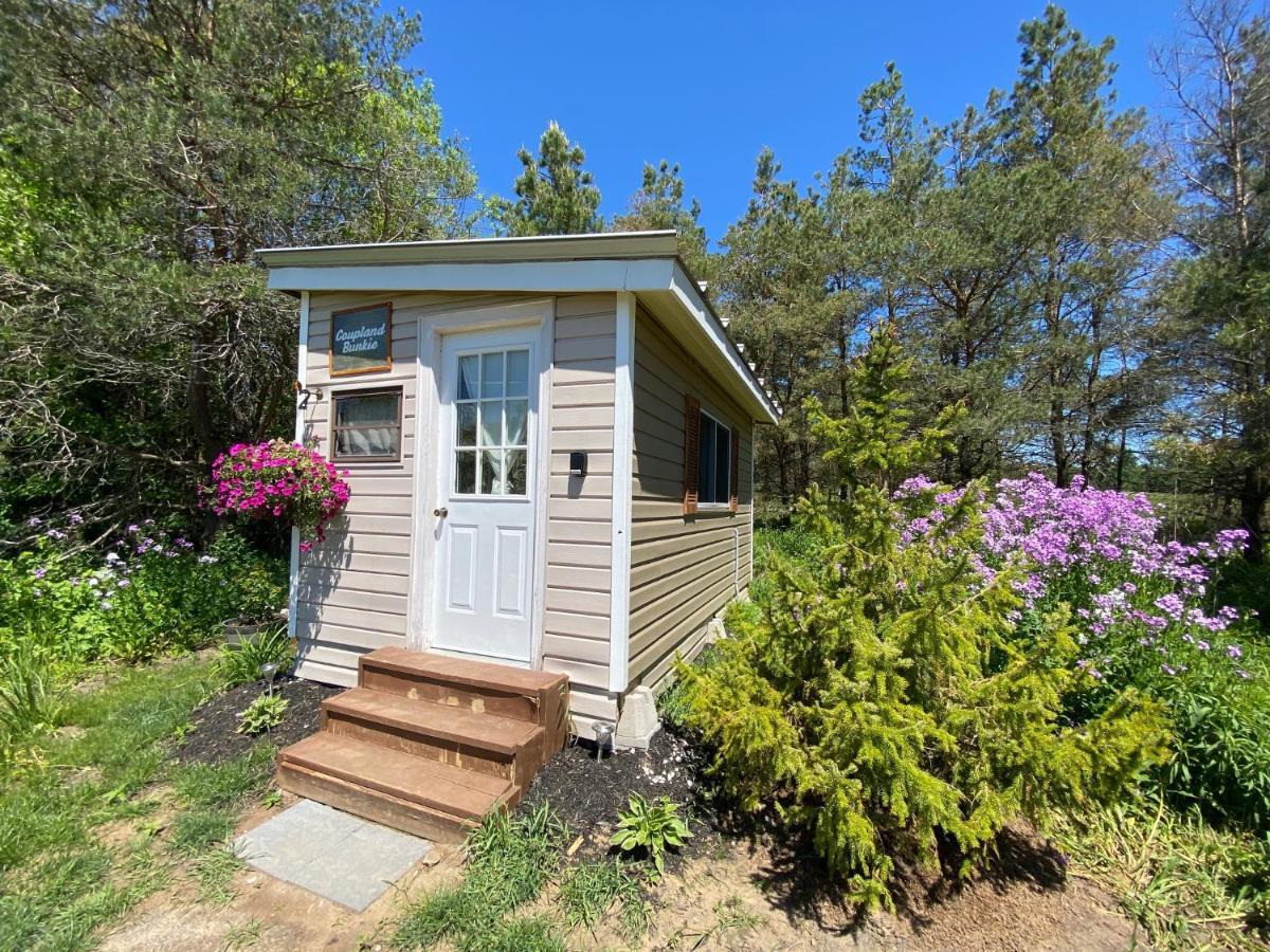 Dreamers Writing Farm, 3 Wooded Acres, Hepworth Sauble Beach Exterior photo