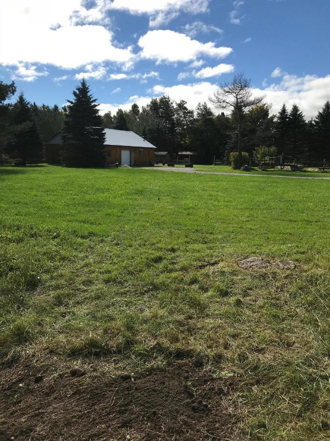 Dreamers Writing Farm, 3 Wooded Acres, Hepworth Sauble Beach Exterior photo