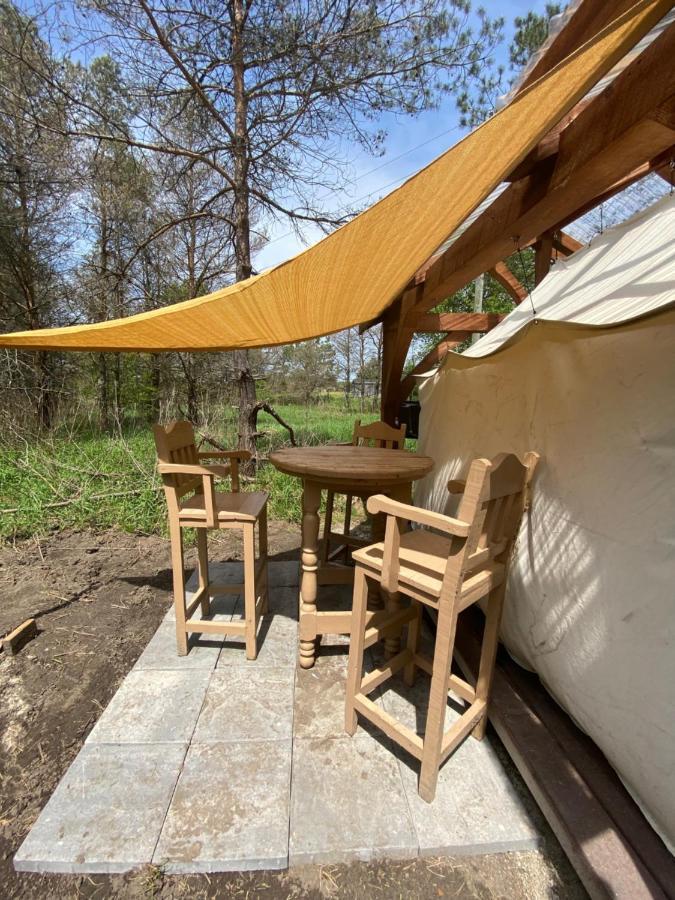 Dreamers Writing Farm, 3 Wooded Acres, Hepworth Sauble Beach Exterior photo