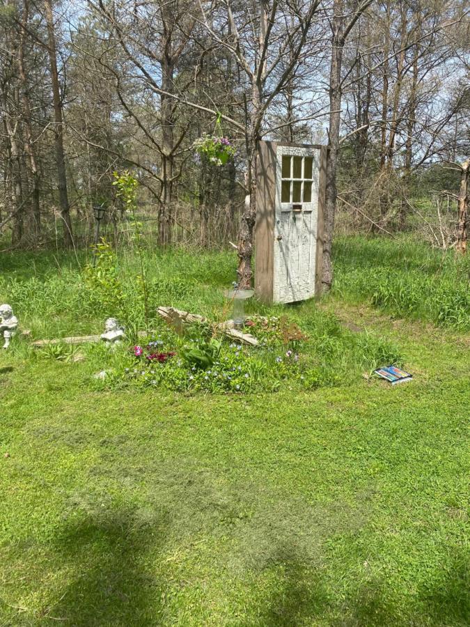 Dreamers Writing Farm, 3 Wooded Acres, Hepworth Sauble Beach Exterior photo