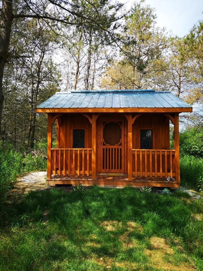 Dreamers Writing Farm, 3 Wooded Acres, Hepworth Sauble Beach Exterior photo