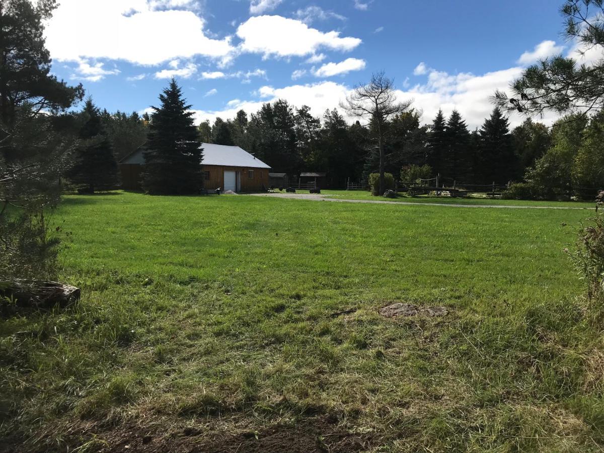 Dreamers Writing Farm, 3 Wooded Acres, Hepworth Sauble Beach Exterior photo