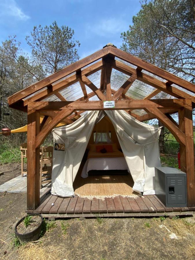 Dreamers Writing Farm, 3 Wooded Acres, Hepworth Sauble Beach Exterior photo