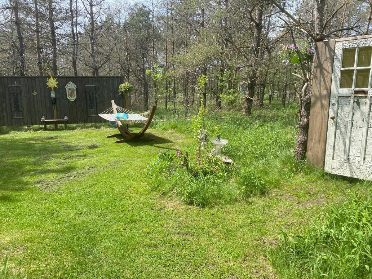 Dreamers Writing Farm, 3 Wooded Acres, Hepworth Sauble Beach Exterior photo